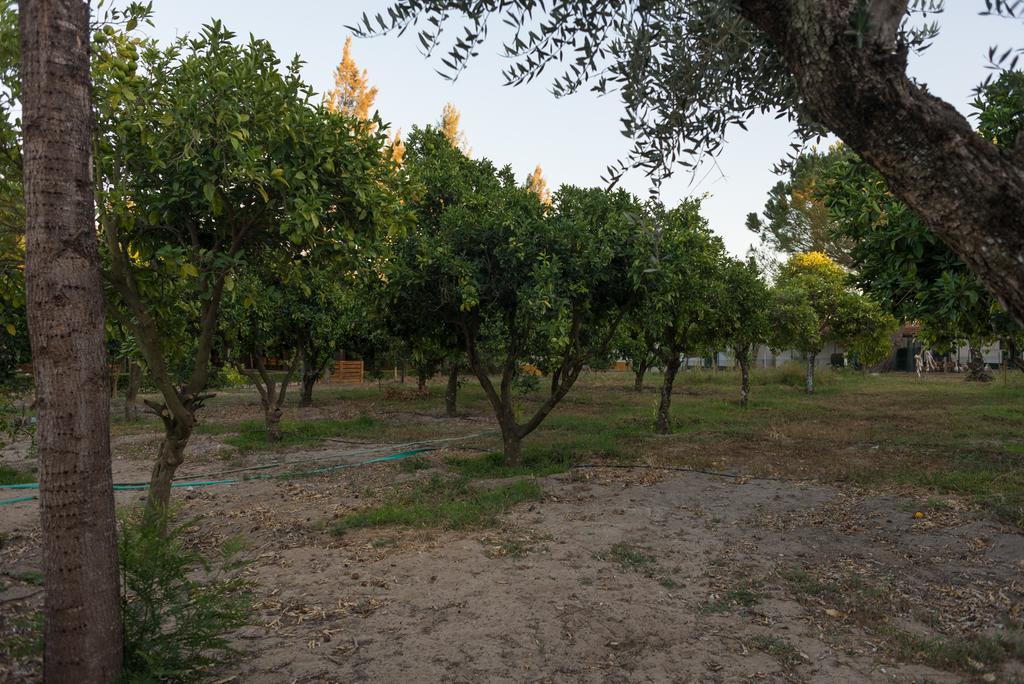 Отель Quinta Da Mimosa Fajarda Экстерьер фото